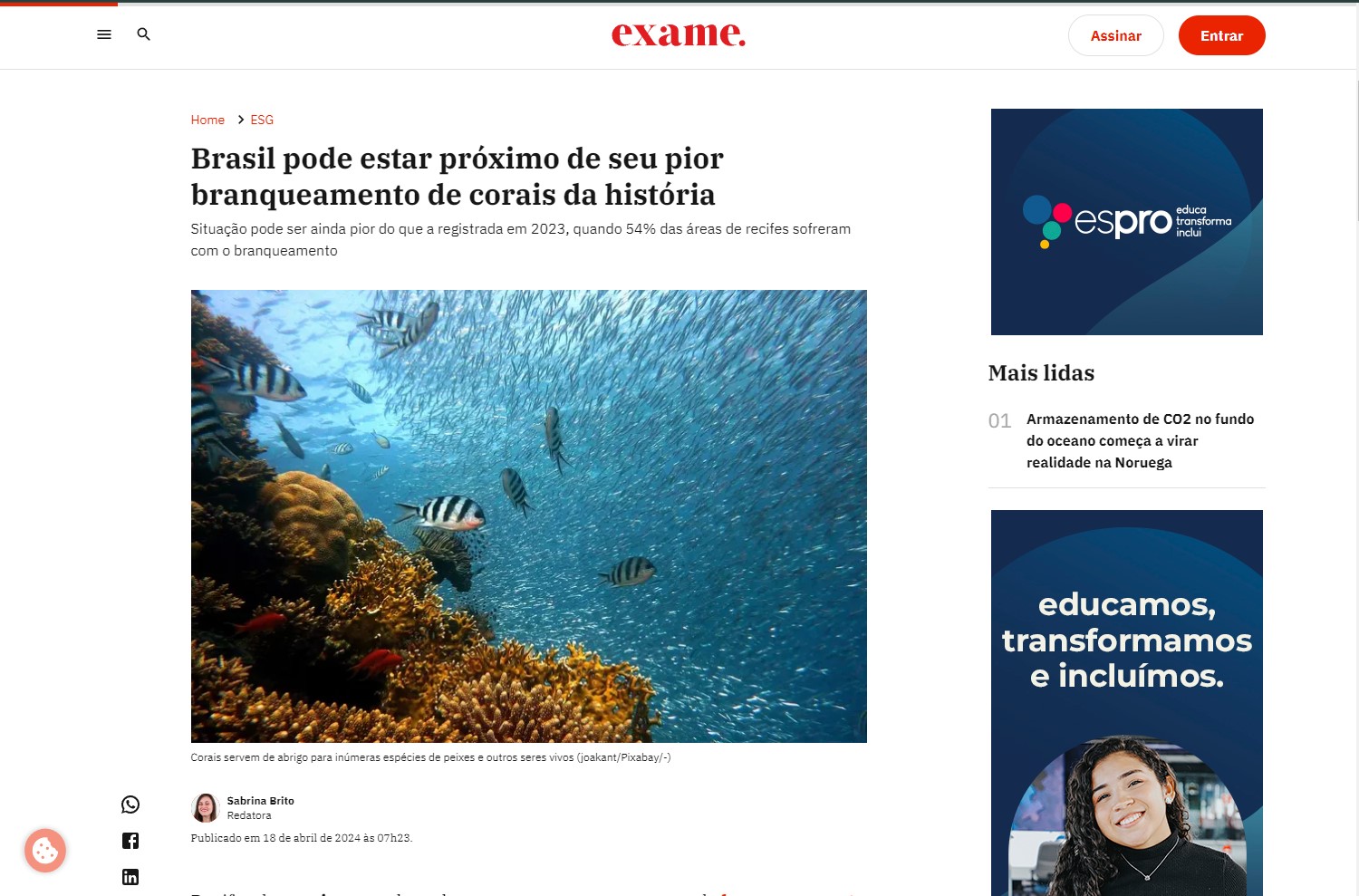 noticia 2