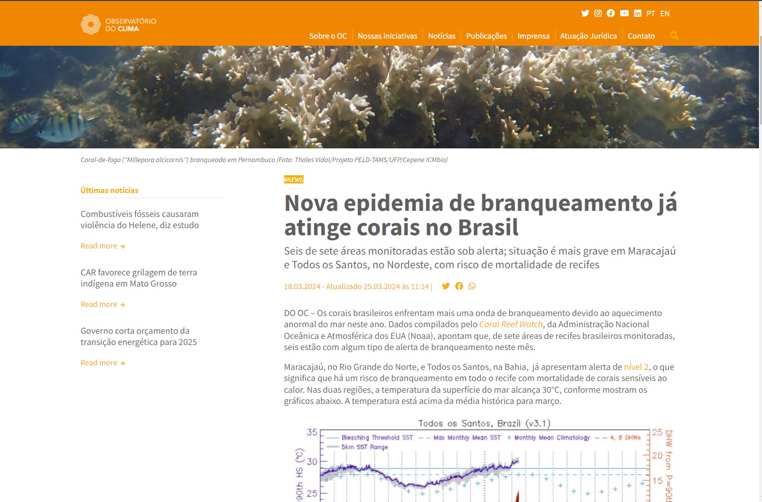 noticia 5