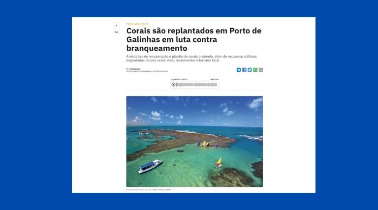 Corais são replantados em Porto de Galinhas em luta contra branqueamento