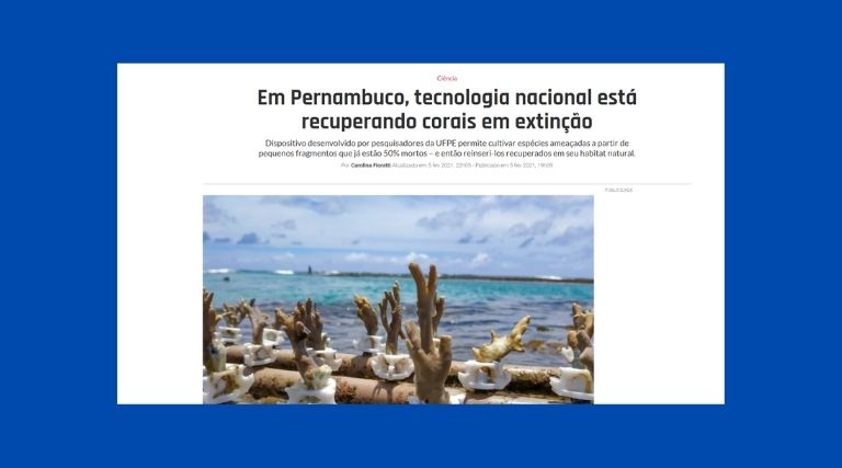 Em Pernambuco, tecnologia nacional está recuperando corais em extinção