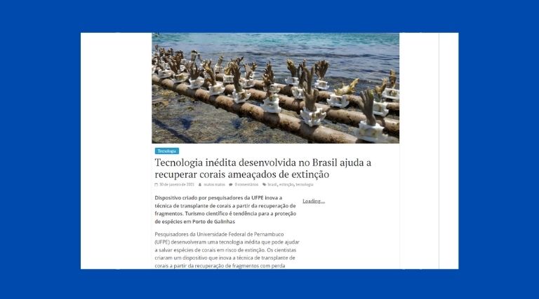 Tecnologia inédita desenvolvida no Brasil ajuda a recuperar corais ameaçados de extinção