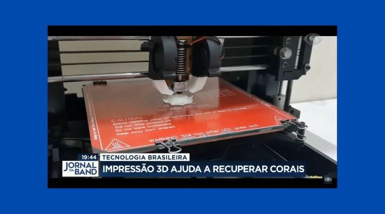Impressão 3D ajuda a recuperar corais