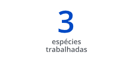 3 espécies trabalhadas