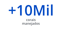 A_Biofábrica de Corais - Mais de 10 mil corais manejados