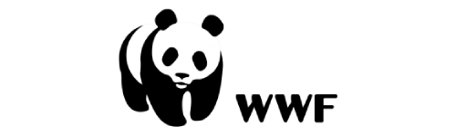 A_biofabrica-de-corais-parceiros-cvc-wwf-brasil