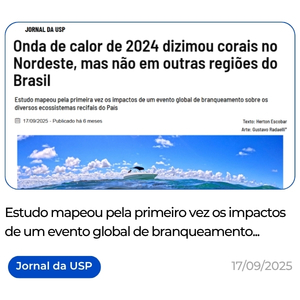 https___jornal.usp.br_ciencias_onda-de-calor-de-2024-dizimou-corais-no-nordeste-mas-nao-em-outras-regioes-do-brasil