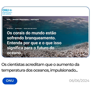 https___www.unep.org_pt-br_noticias-e-reportagens_reportagem_os-corais-do-mundo-estao-sofrendo-branqueamento-entenda-por-que-e
