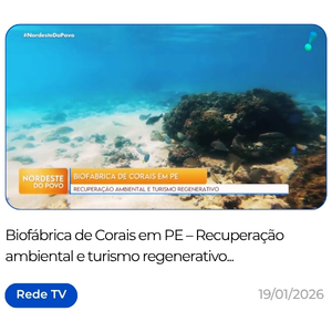 https___www.youtube.com_watch_v=Of-Z8R54dzM&t=2127s