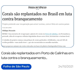 https___www1.folha.uol.com.br_ambiente_2021_05_corais-sao-replantados-no-brasil-em-luta-contra-branqueamento.shtml