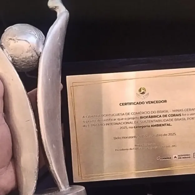Biofabrica de Corais Restauração Recifal Projetos PDI e ESG Adoção de Corais Experiências Turísticas Regenerativas em Porto de Galinhas