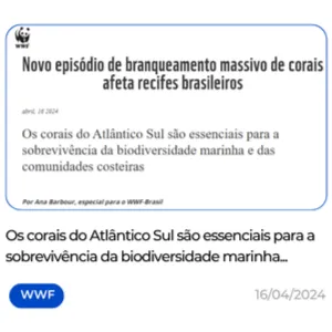 Biofabrica de Corais Restauração Recifal Projetos PDI e ESG Adoção de Corais Experiências Turísticas Regenerativas em Porto de Galinhas