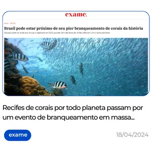 Biofabrica de Corais Restauração Recifal Projetos PDI e ESG Adoção de Corais Experiências Turísticas Regenerativas em Porto de Galinhas