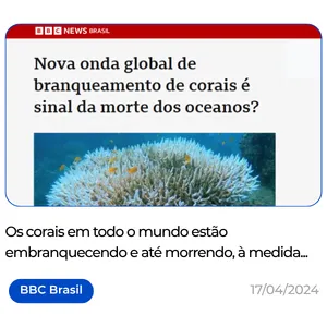 Biofabrica de Corais Restauração Recifal Projetos PDI e ESG Adoção de Corais Experiências Turísticas Regenerativas em Porto de Galinhas