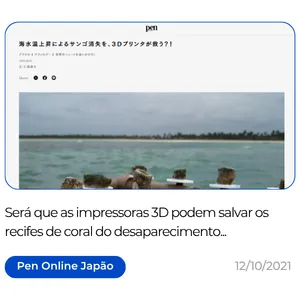 Biofabrica de Corais Restauração Recifal Projetos PDI e ESG Adoção de Corais Experiências Turísticas Regenerativas em Porto de Galinhas