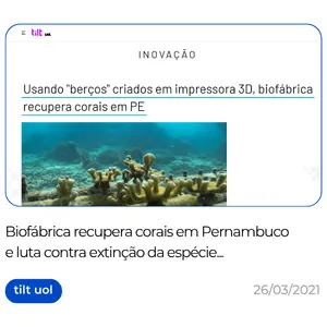 Biofabrica de Corais Restauração Recifal Projetos PDI e ESG Adoção de Corais Experiências Turísticas Regenerativas em Porto de Galinhas