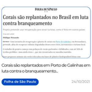 biofabrica-de-corais-restauracao-recifal-projetos-pdi-esg-adocao-de-corais-experiencias-turisticas--regenerativas-em-porto-de-galinhas-36
